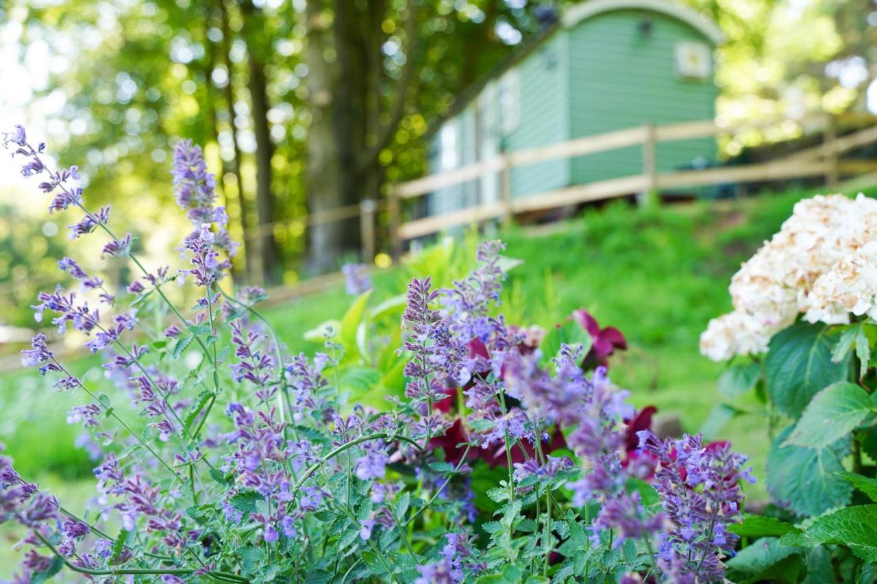 Upper Hulme Lavender Retreat With Private Hot Tub 게스트하우스 외부 사진